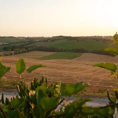 شقة Poggio Antico Monte San Vito