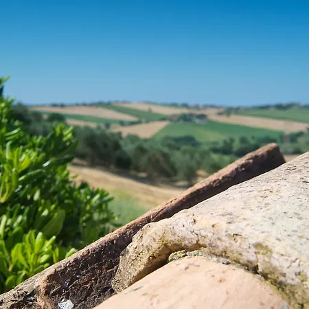 شقة Poggio Antico Monte San Vito