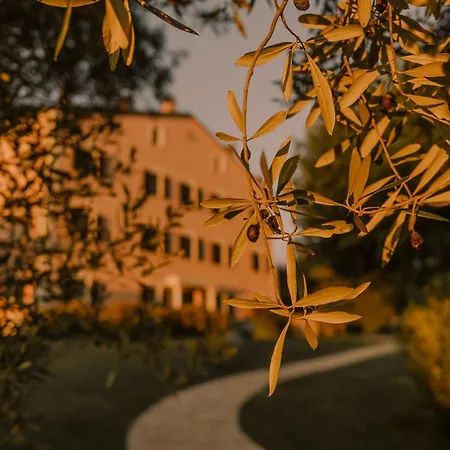 珀格安迪克酒店 * 蒙特圣维托