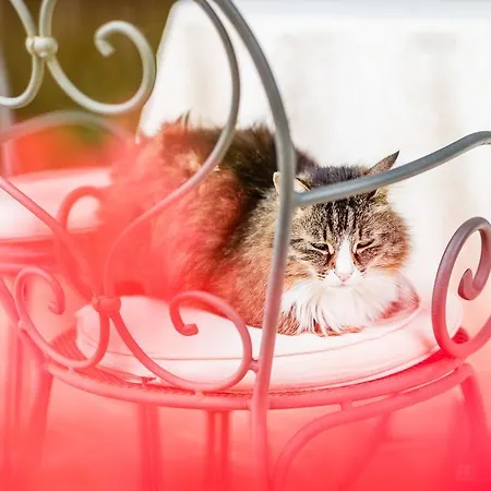 Apartment Poggio Antico *